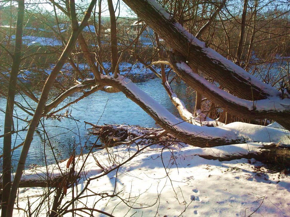 У зимней реки