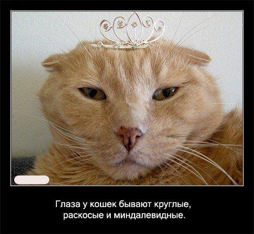 Глаза 2