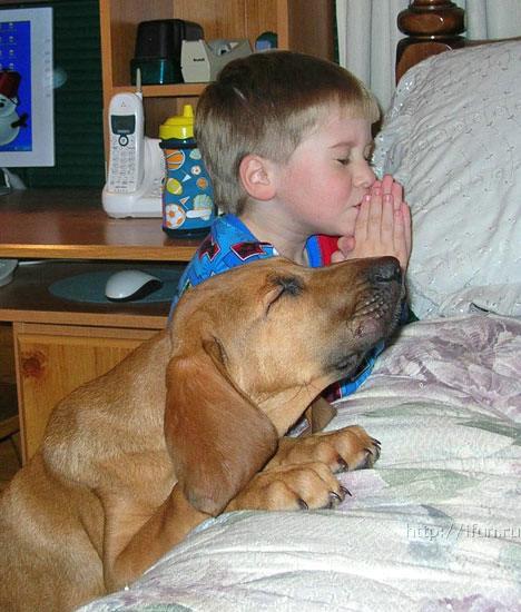 Молитва перед сном