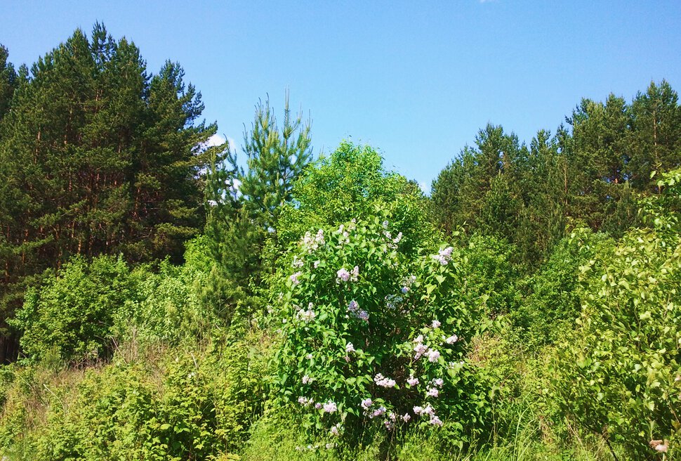 По Уральским горам