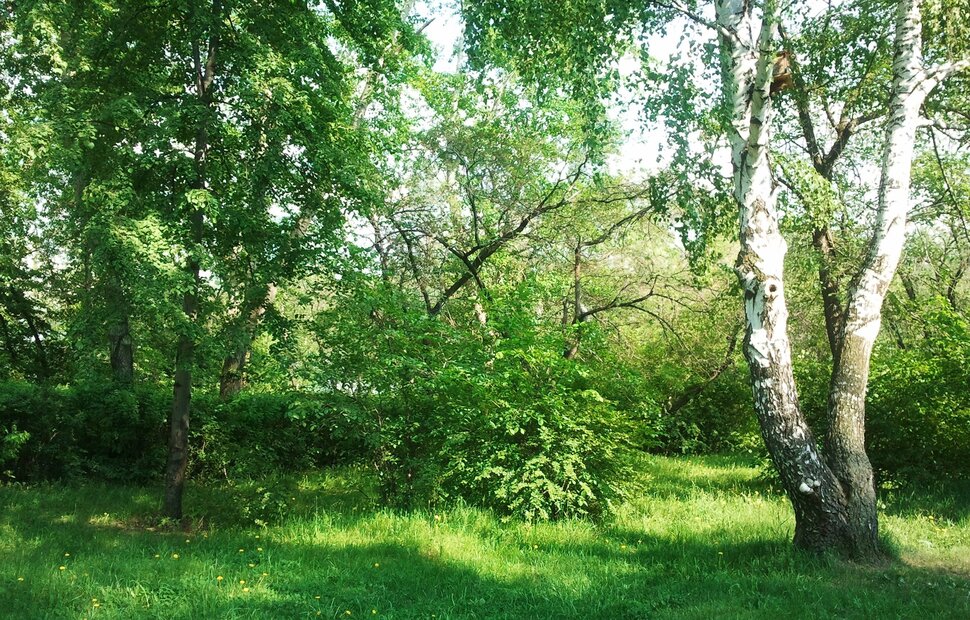 Весна