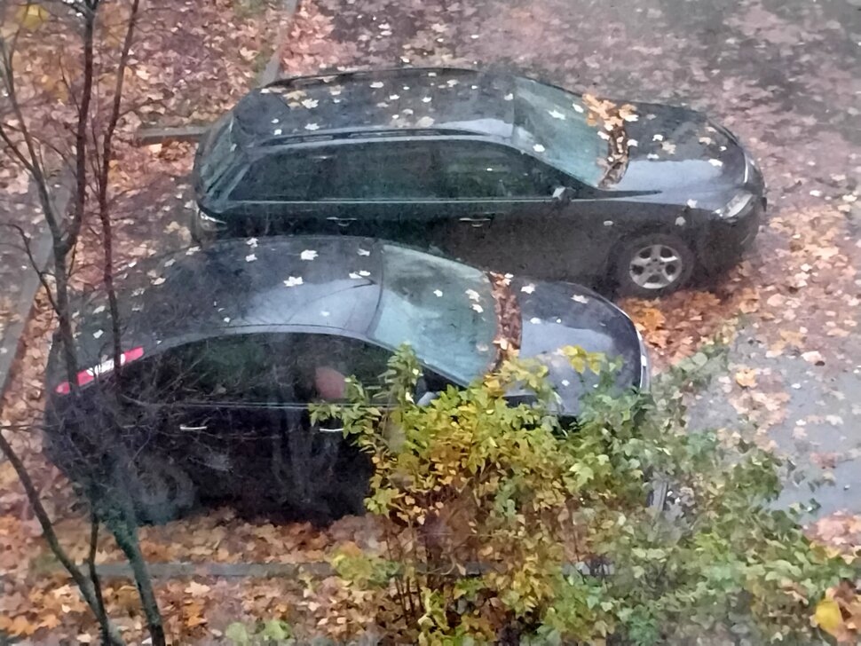 Два авто в листве осенней