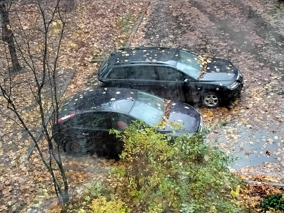 Два авто в листве осенней