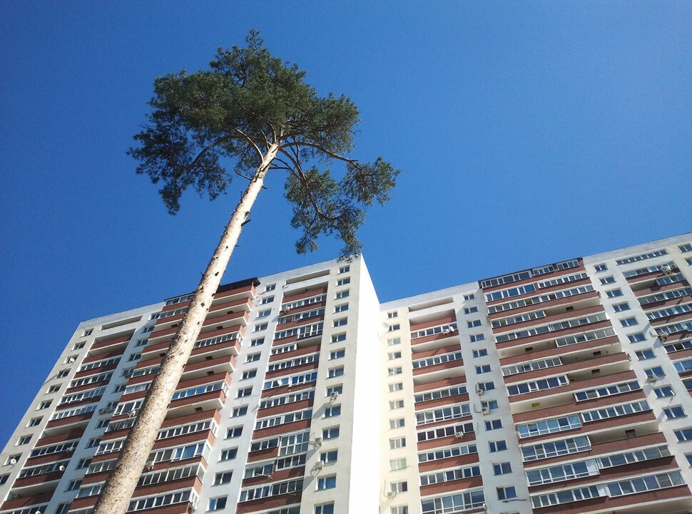 Кто выше?