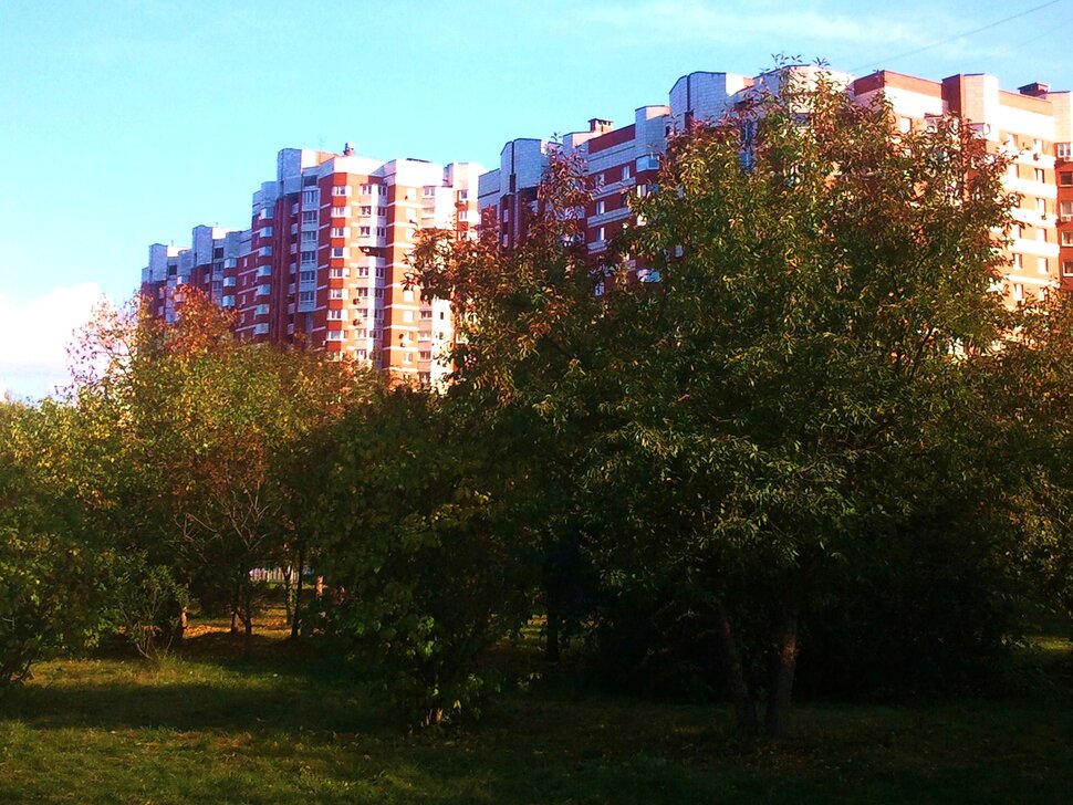 Сентябрь