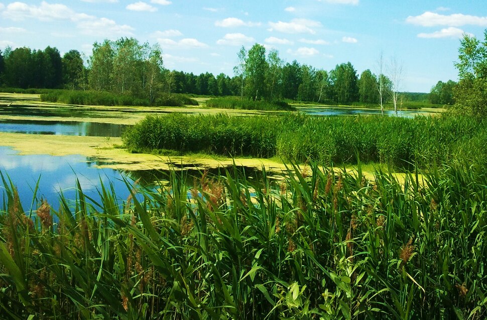 У реки