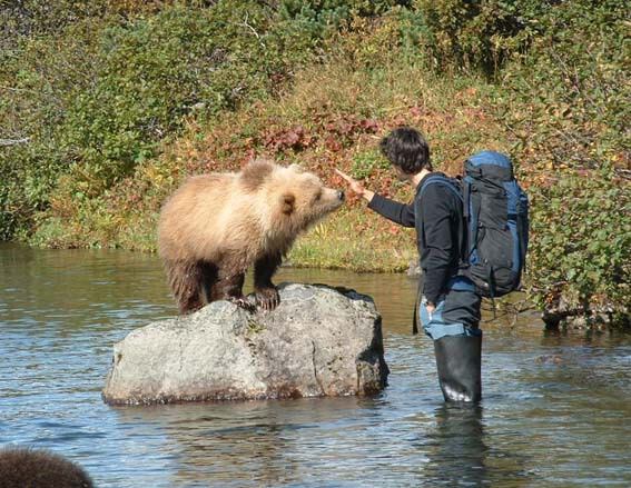 Есть контакт!