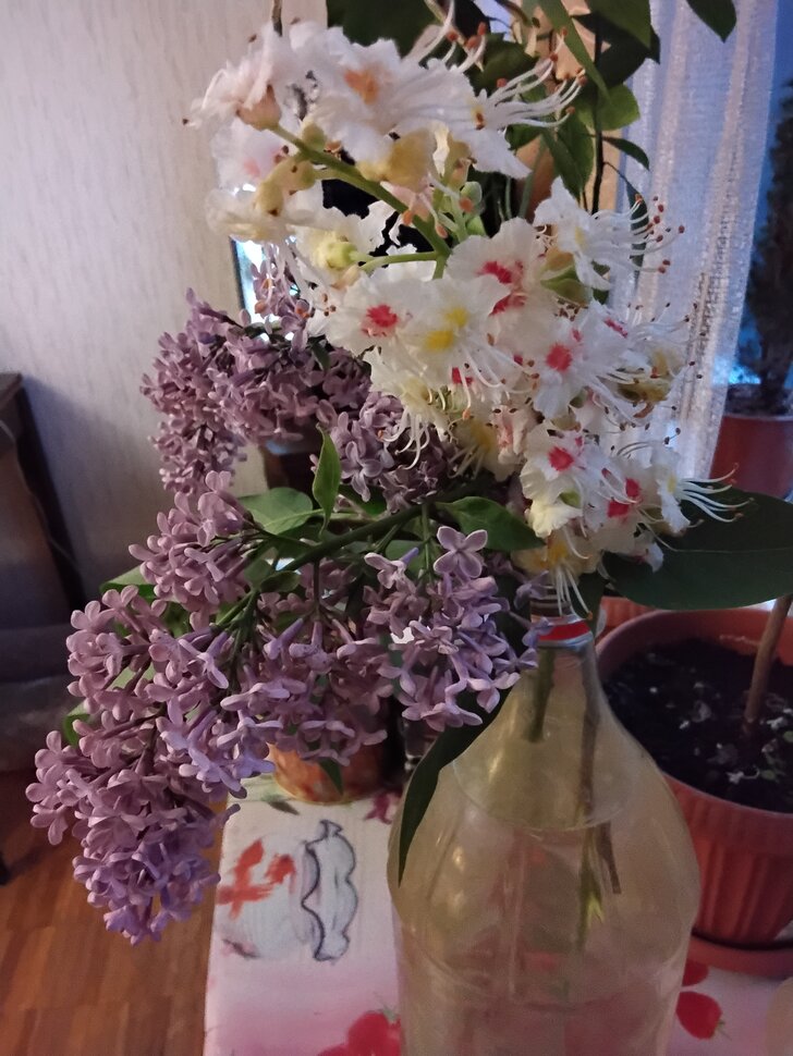 Сирень и каштан