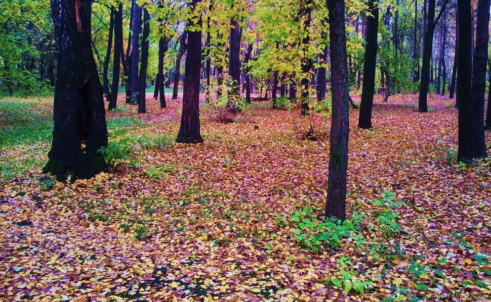 В уралмашевском парке