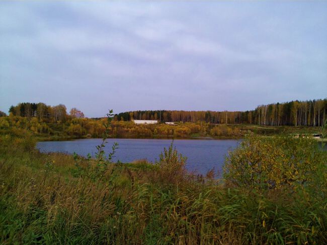 На природе