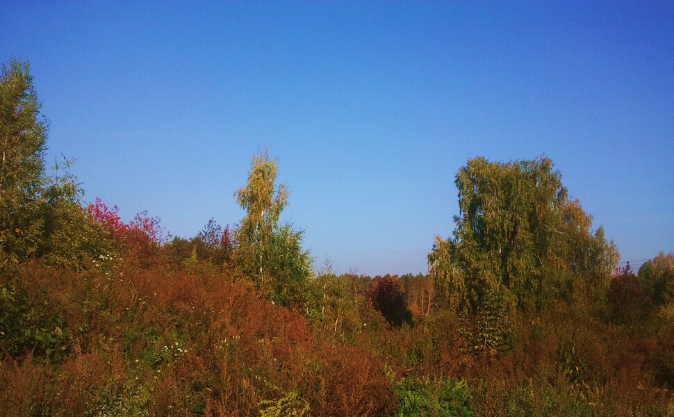Сентябрь