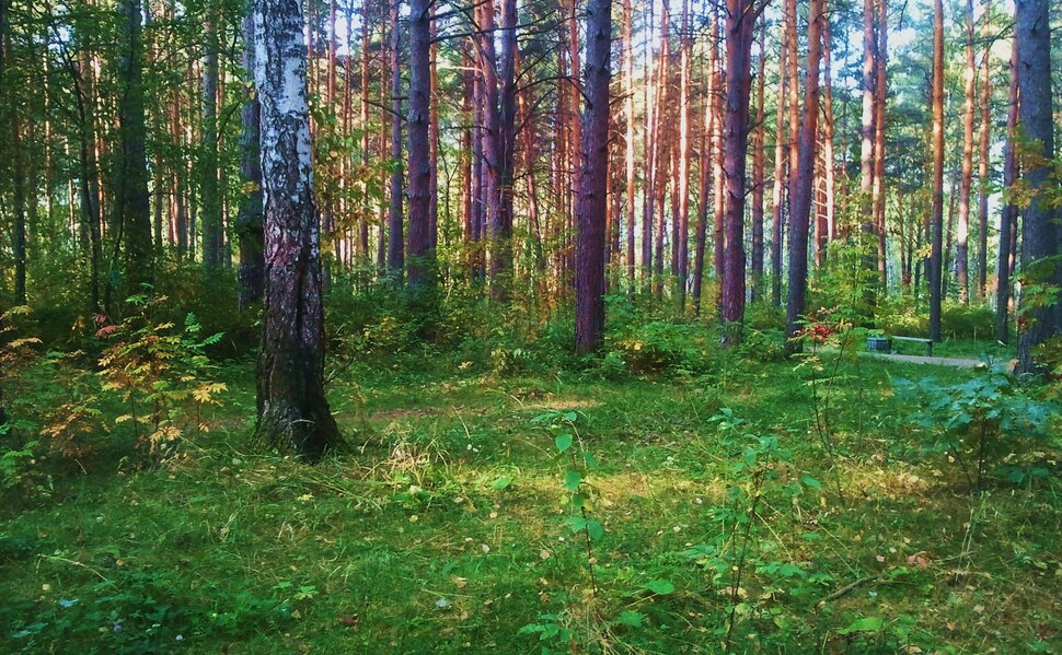 Сентябрь