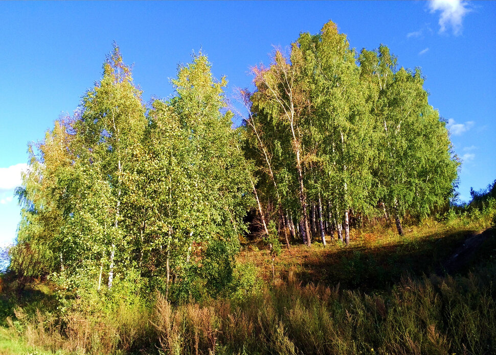 Осень на Уктусских горах