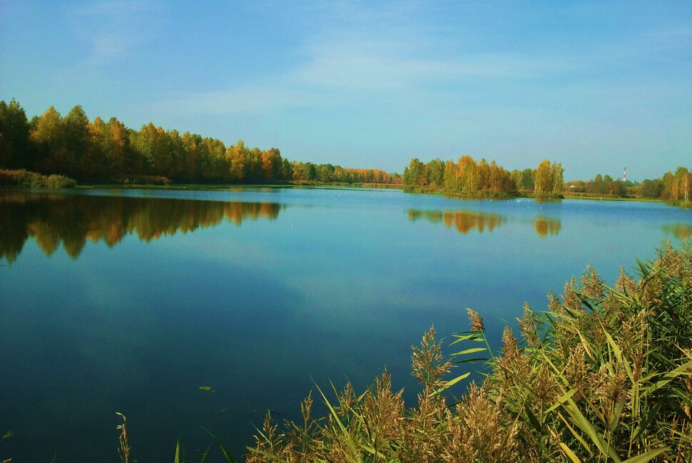 У реки