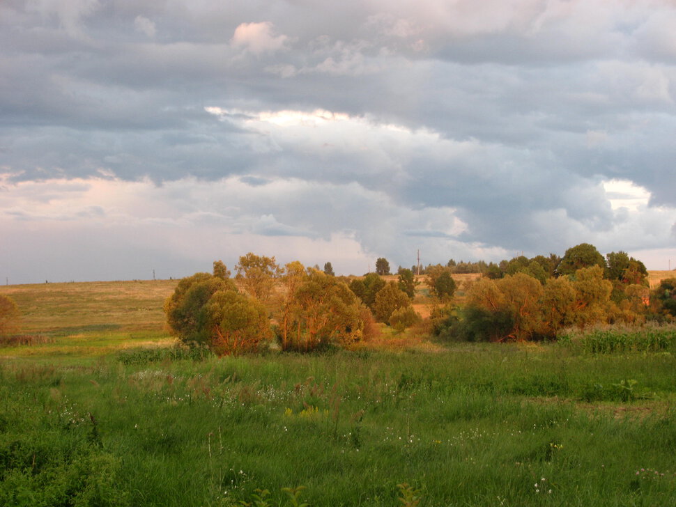 Украина. Киев обл. -Перед бурей-