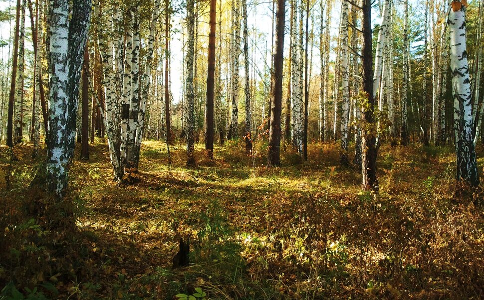 В догорающем октябре