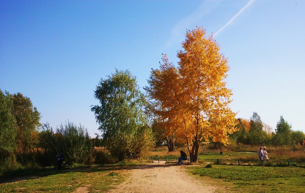 По осенней дорожке