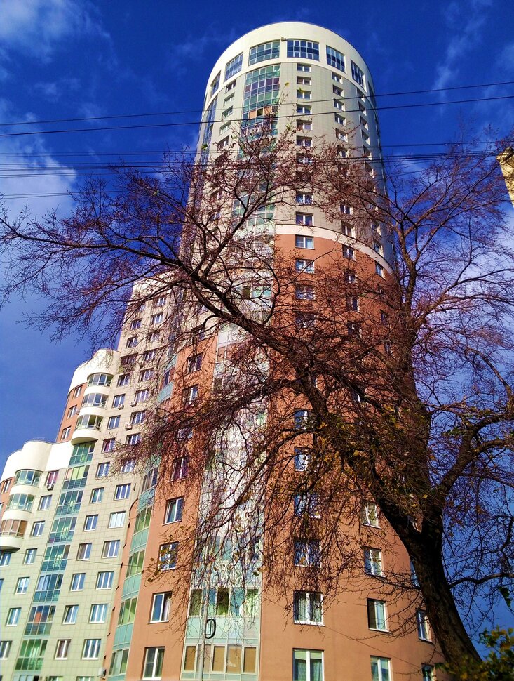 У домика