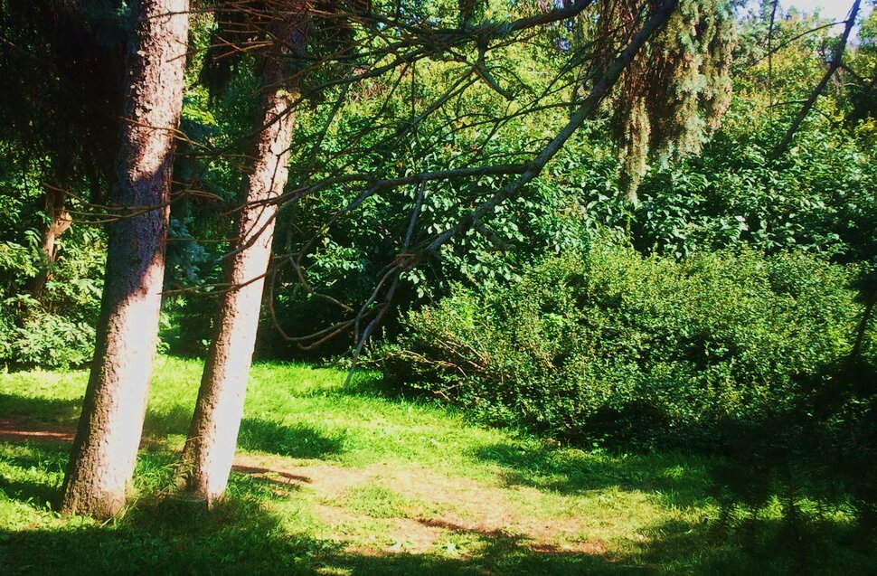 Август