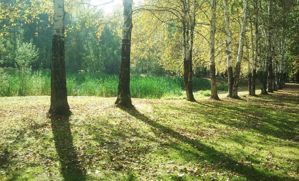 Сентябрь