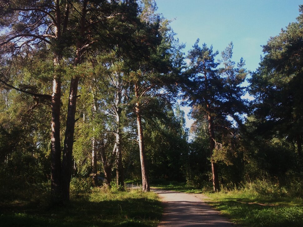 По лесочку