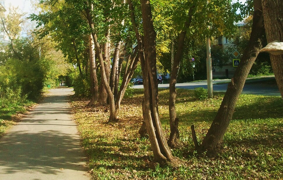 По улочке в сентябре