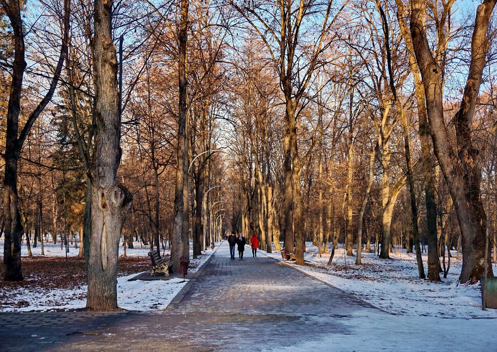 Прогулки по декабрю