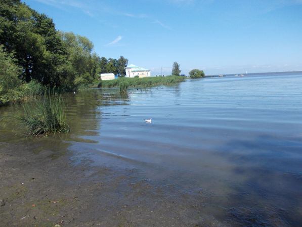 Петергоф - Чайка на воде