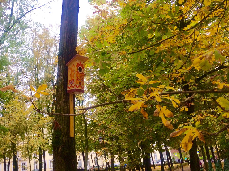 Смоленск в октябре