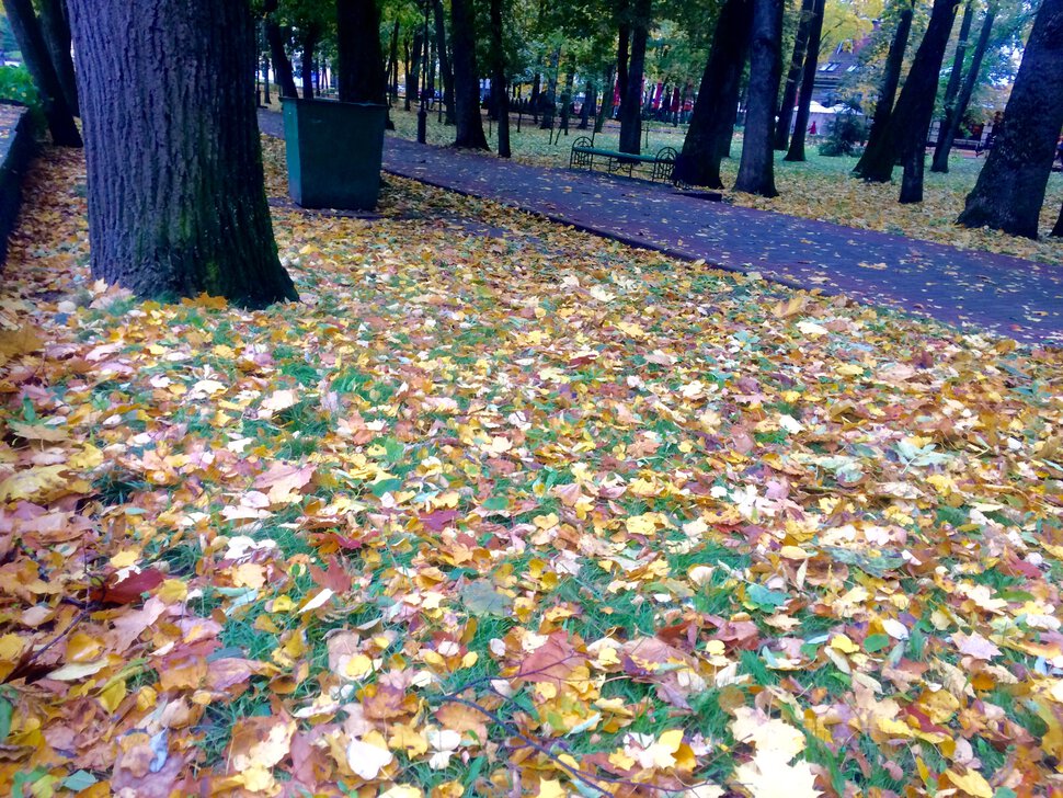 Смоленск в октябре