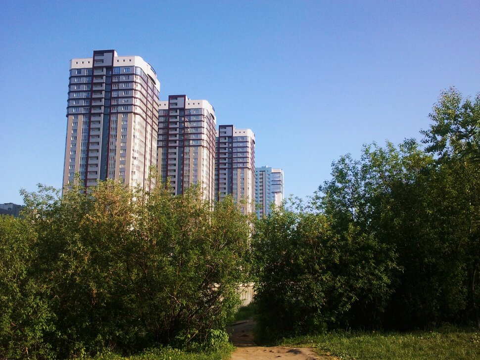 Выросли в зарослях