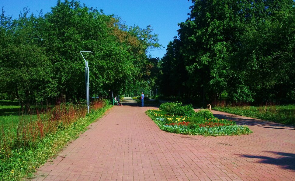 По бульвару в июне