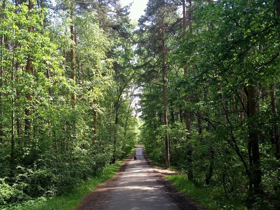 По июньской дорожке