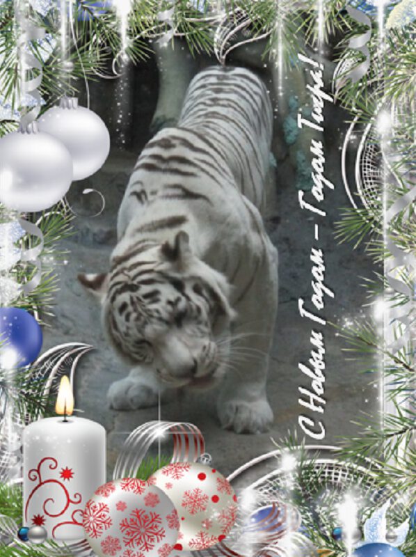 С Новым Годом - Годом Тигра!