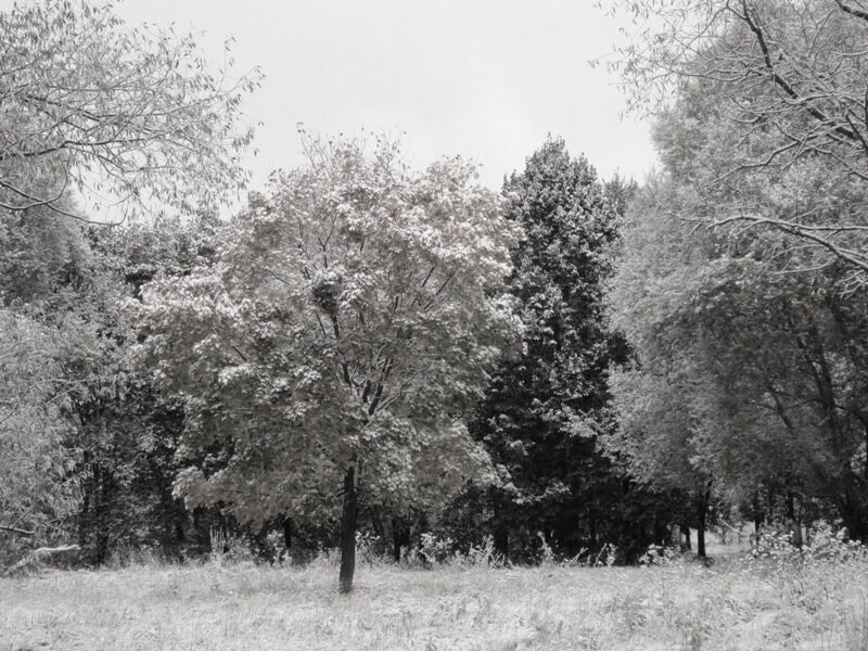 9 октября 2015 года. Первый день зимы