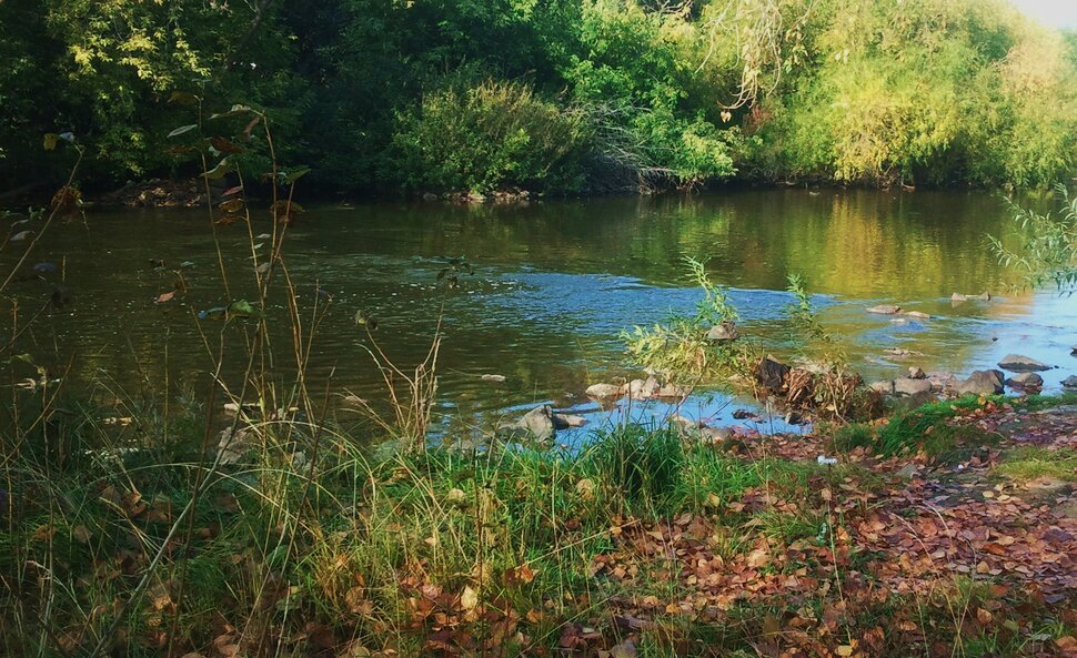 У реки