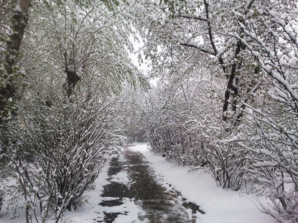 По дорожке