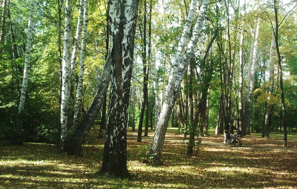 Сентябрь