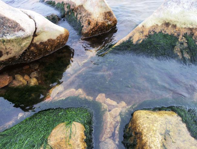 Сошлись как в море корабли