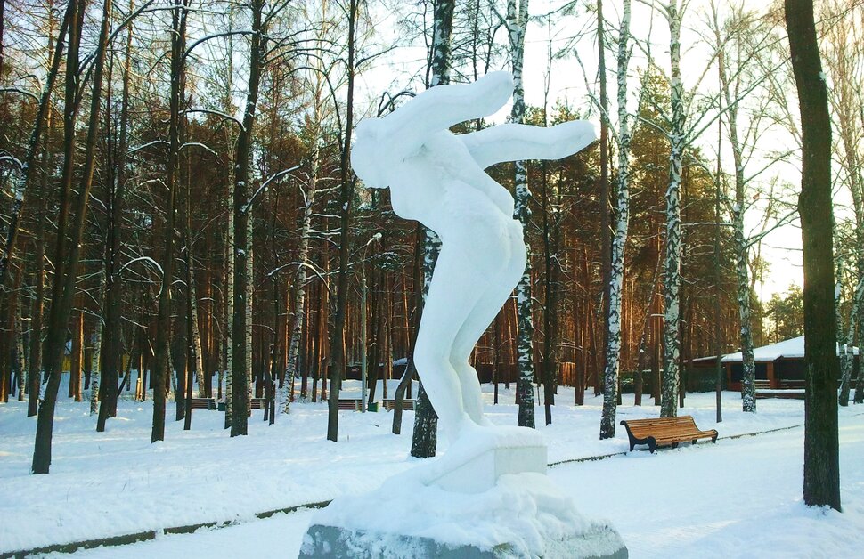 Зимой в парке