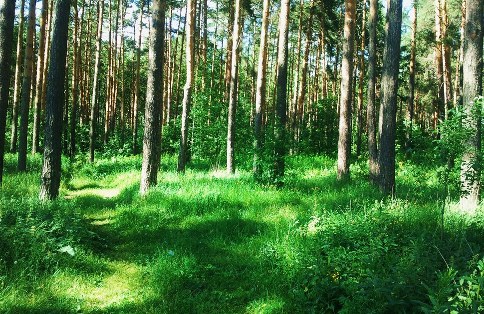 Тепло, светло, и мухи не кусают