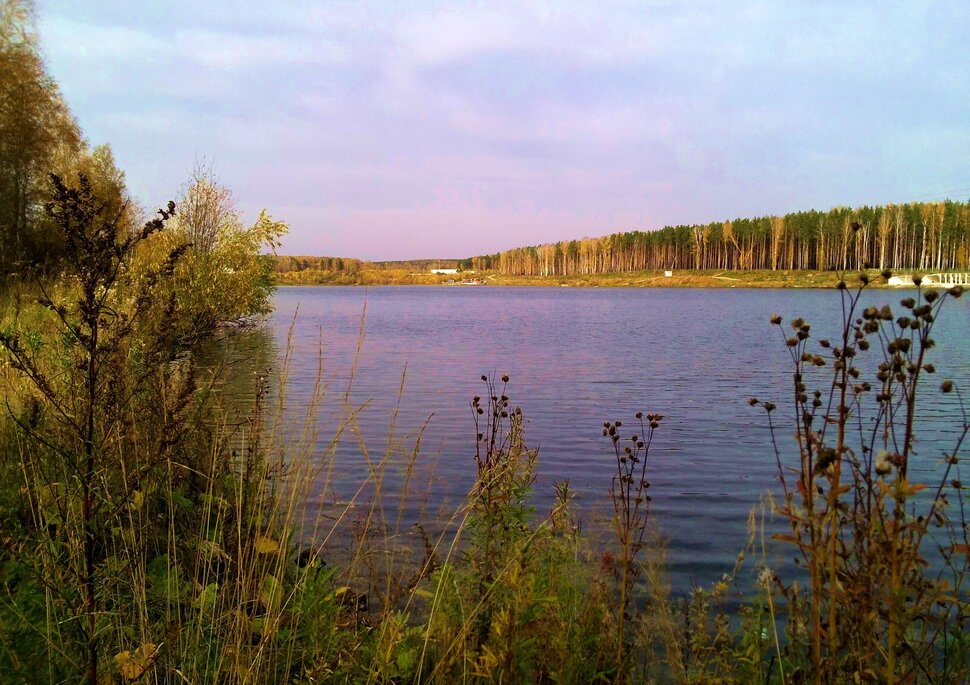 У озера