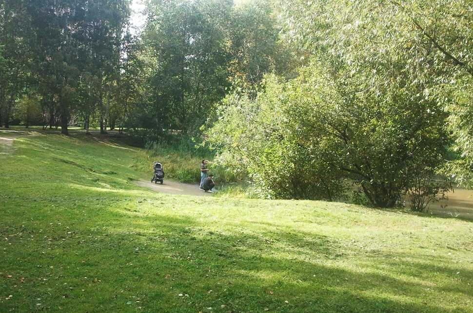 В лесочке