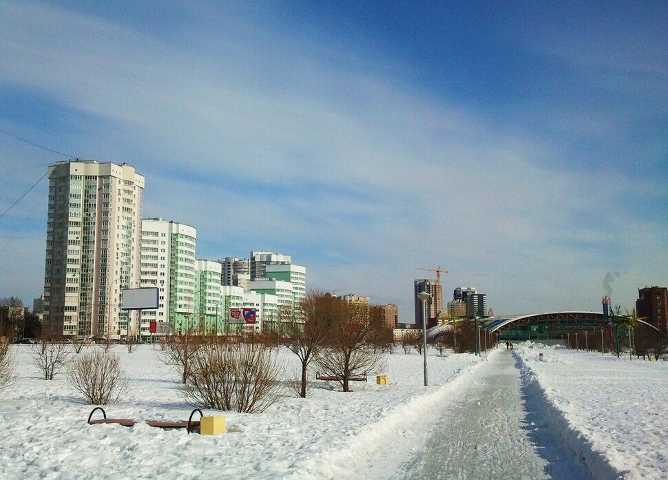 Зимой в парке