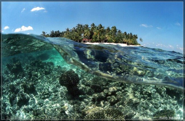 Анатолий Белощин. Моря, океаны, озера