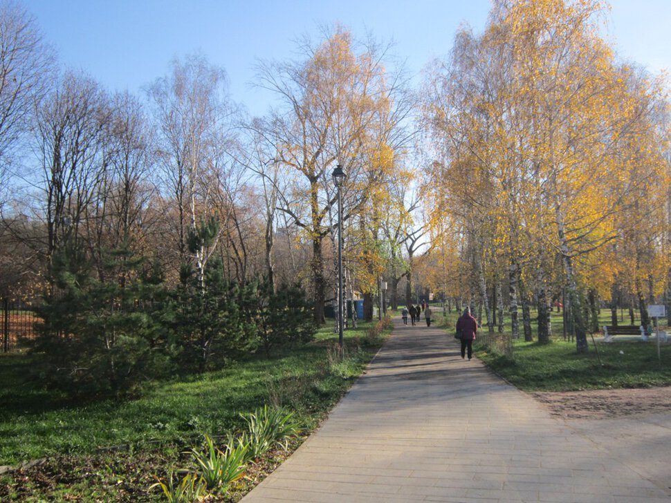 Прогулка в парке в ноябре