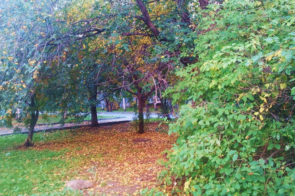 Сентябрь