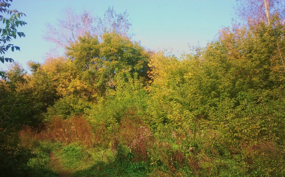 Сентябрь