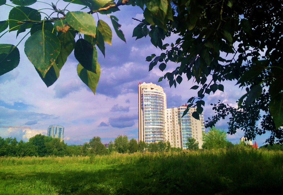 Под кустиком