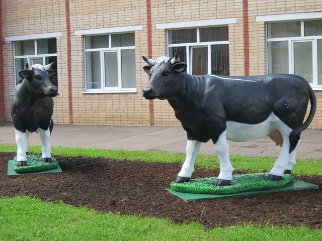 Тимирязевка. Козы и коровы
